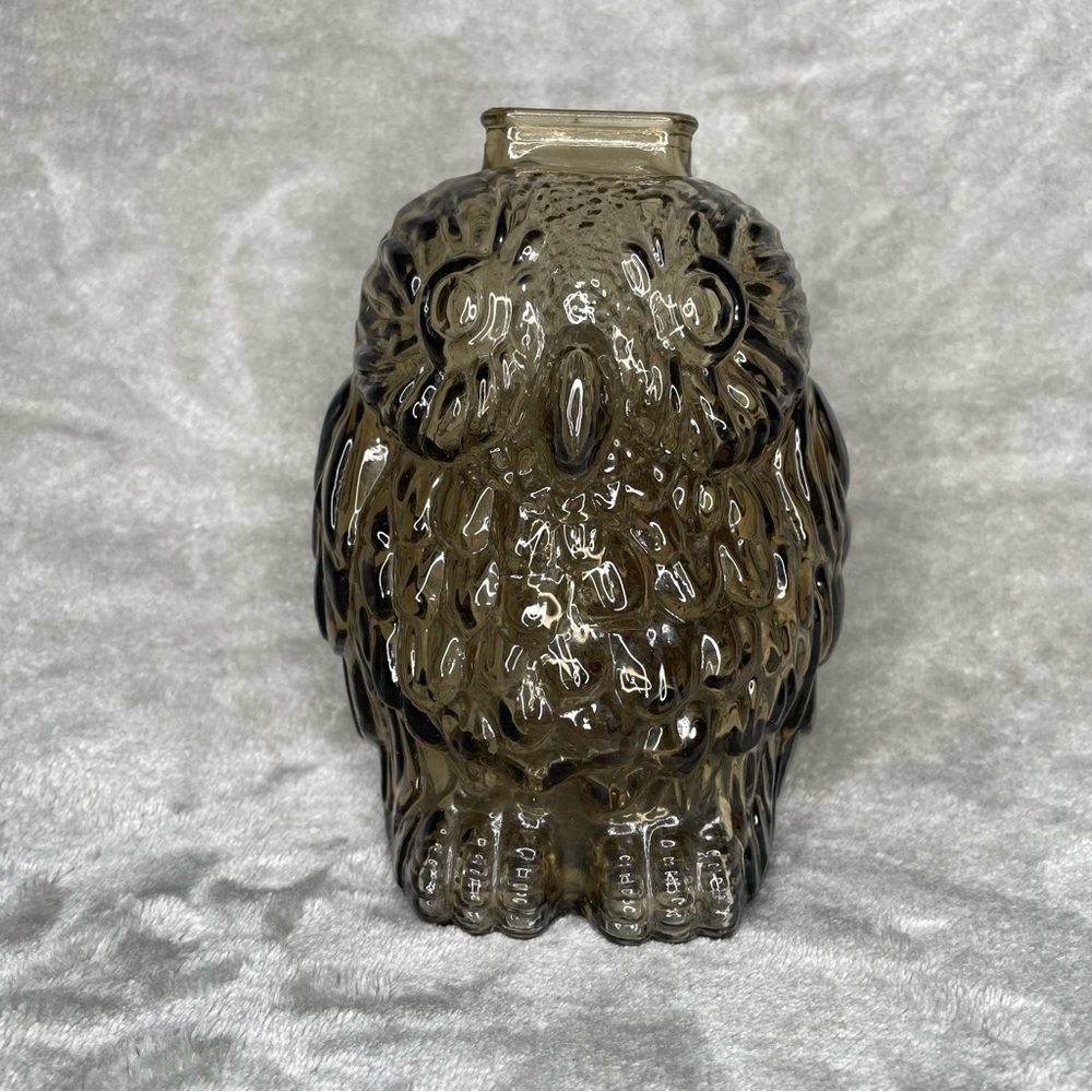 Vintage Wise Old Owl Smoked Glass Coin Bank MCM Home Decor Collectible